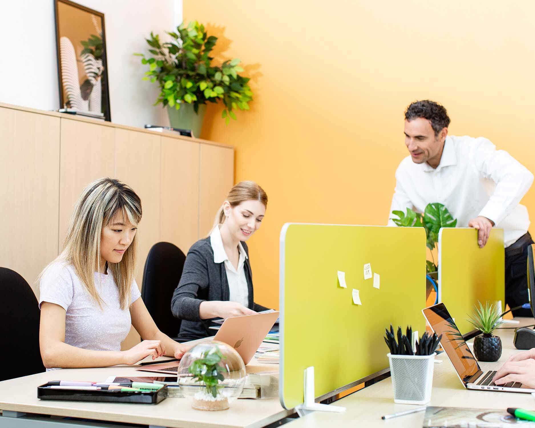 Spazio coworking in affitto a Bologna di Creasystem